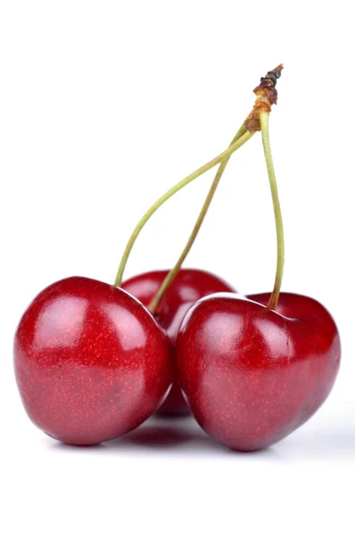 Cherry Stock Image