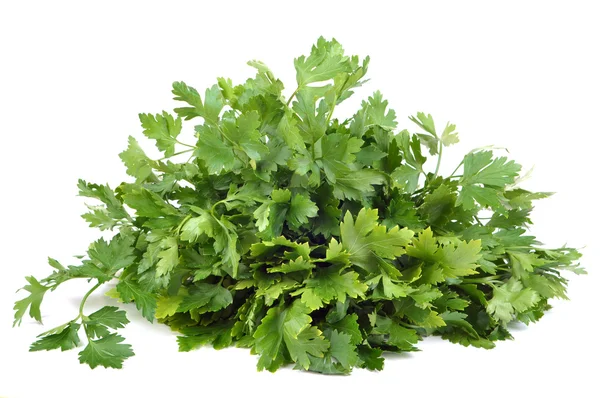Parsley bunch isolated on a white background. — Stock Photo, Image