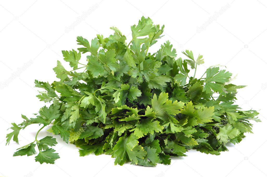 Parsley bunch isolated on a white background.
