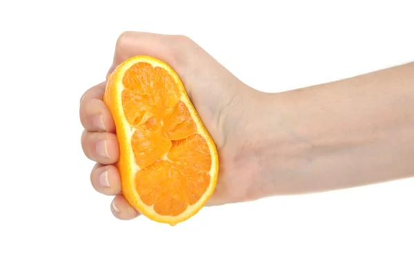 Fersk oransje – stockfoto