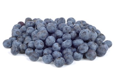 bilberry