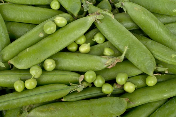 Peas pods — Stock Photo, Image
