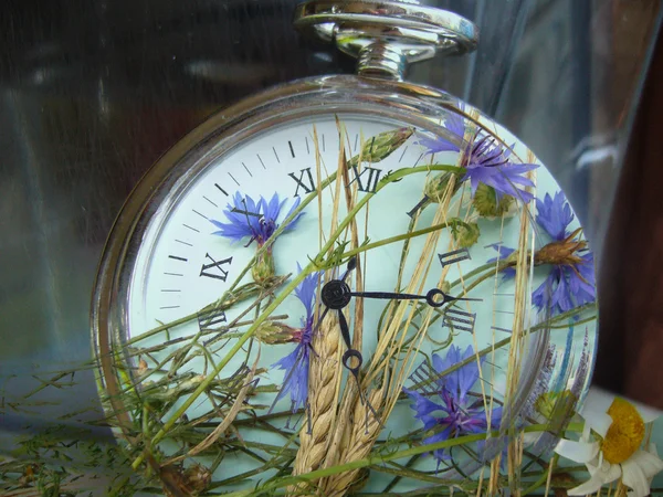Hours of wild flowers. — Stock Photo, Image
