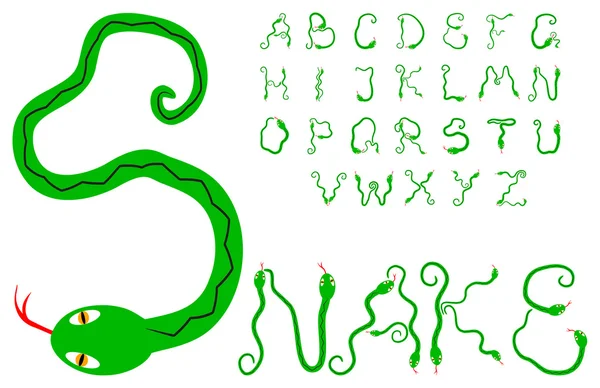 Snake alphabet — Stock Vector