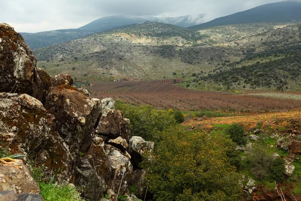 Golan Tepeleri — Stok fotoğraf