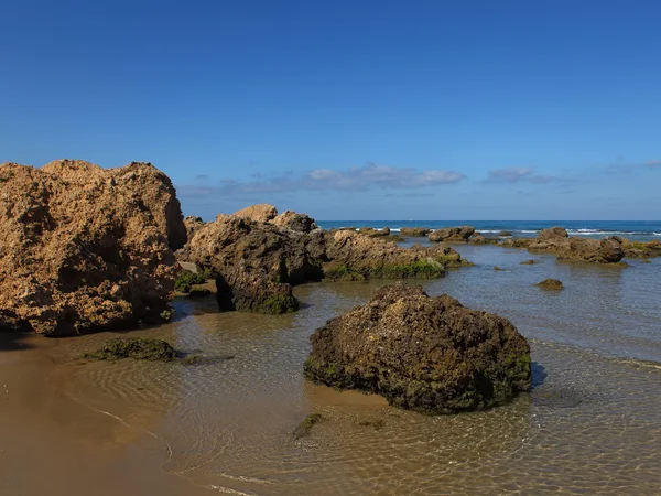 stock image Stones and sea