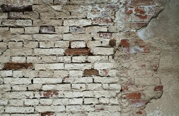 stock image Pale gray brick wall texture