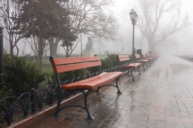 Municipal garden is in morning fog clipart