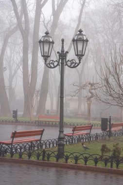 Municipal garden is in morning fog clipart