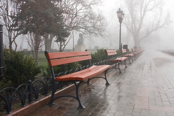 stock image Municipal garden is in morning fog