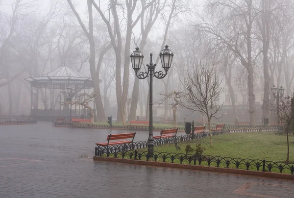 Stock image Municipal garden is in morning fog