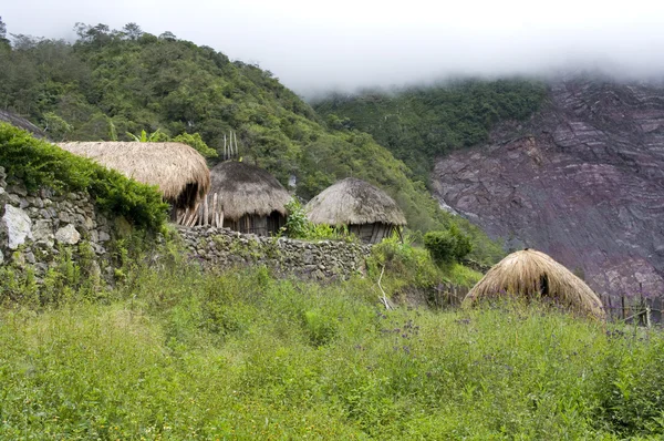Un villaggio tradizionale in Papua — Foto Stock