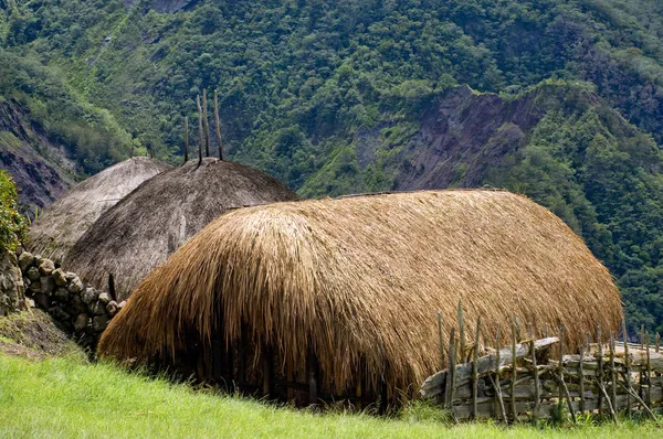 En tradisjonell landsby i Papua – stockfoto