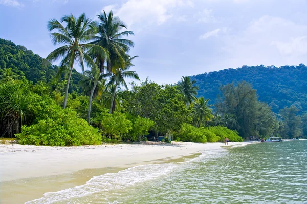 Pantai tropis dengan pohon kelapa — Stok Foto