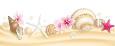 Seashell header clipart