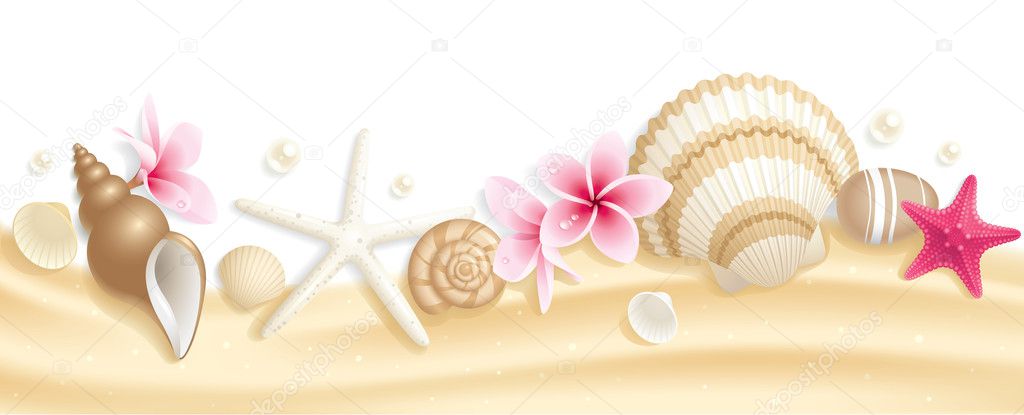 Seashell header