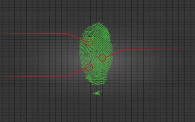 Vector of a finger print clipart