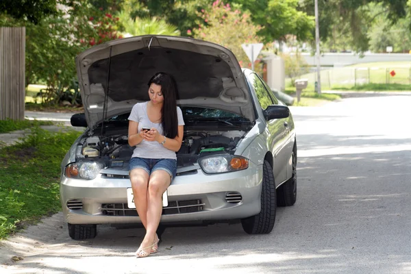 Stock image Attractive Girl with Disabled Car (3)