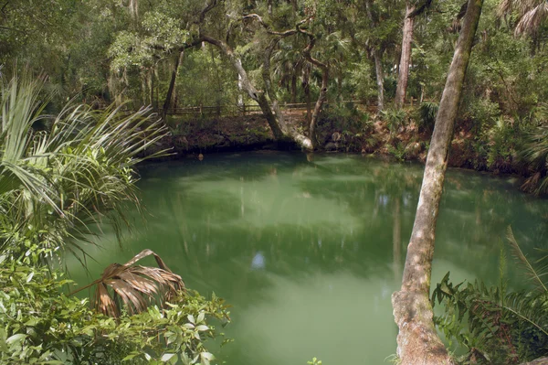 美しいエメラルド グリーンの硫黄泉 (1) — ストック写真
