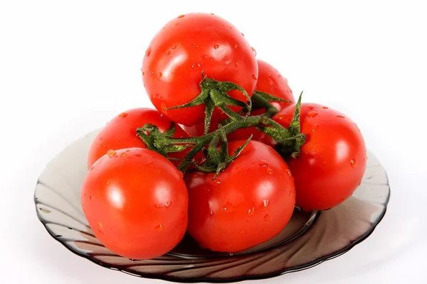 Tomato on a plate — Stock Photo, Image