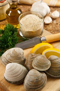 Fresh Littleneck Clams clipart