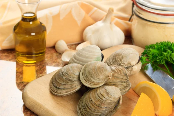 Littleneck молюски на кухні — стокове фото