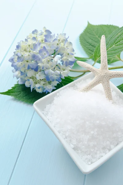 Tengeri só fürdő bozót — Stock Fotó
