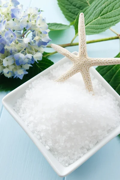 Tengeri só fürdő spa környezetben bozót — Stock Fotó