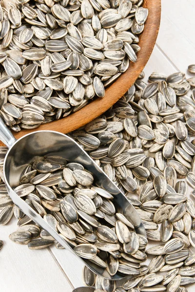 Nutritious Sunflower Seeds in the Hull — Stock Photo, Image