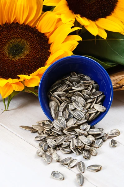 Sunflower Seeds Spilling From a Blue Bowl — Stock Photo, Image