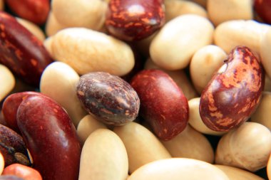 Background of different kinds of beans