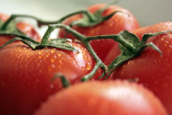 Masanın üzerine kırmızı sulu domates Şubesi — Stok fotoğraf
