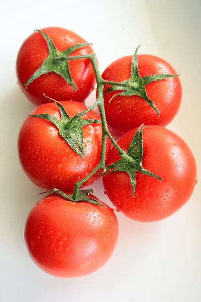 Kırmızı, olgun, sulu domates — Stok fotoğraf
