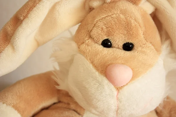 Honey Bunny - plush toy — Stock Photo, Image