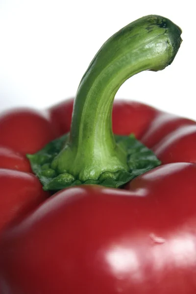 Red pepper with green stalk Stock Photo