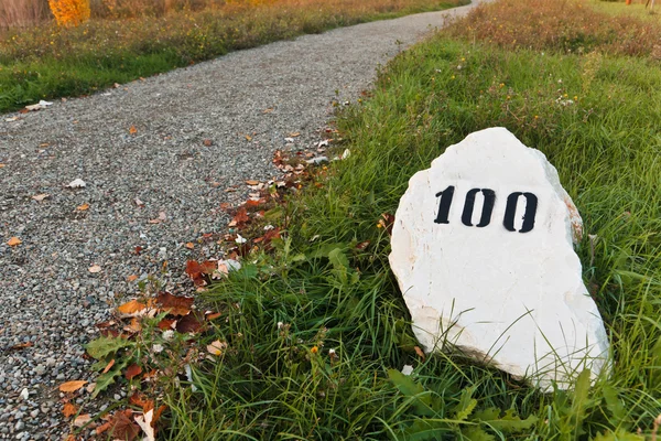 Камінь милі в траві біля дороги Ліцензійні Стокові Зображення