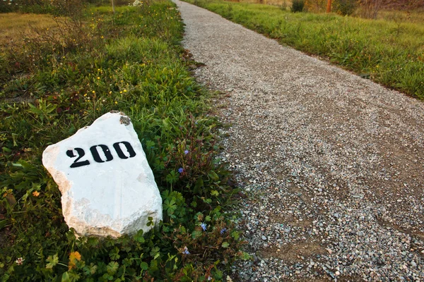 Камінь милі в траві біля дороги Ліцензійні Стокові Фото