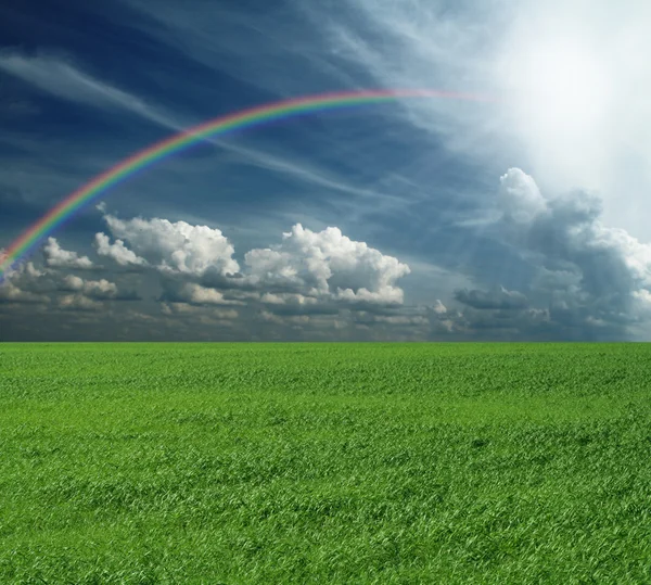 Zielona trawa i błękitne zachmurzone niebo z tęczą — Zdjęcie stockowe