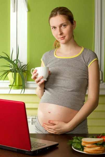Tenera femmina incinta con computer portatile — Foto Stock
