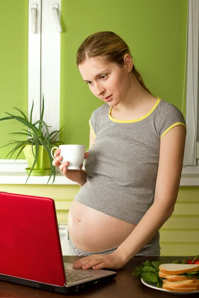 Nabídka těhotná žena s notebookem — Stock fotografie