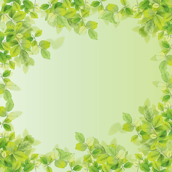 Leaf background