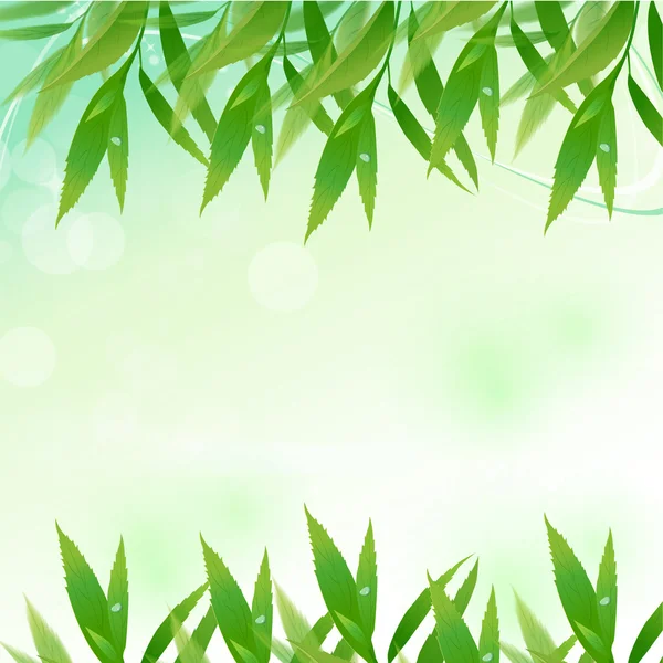Leaf background — Stock Vector
