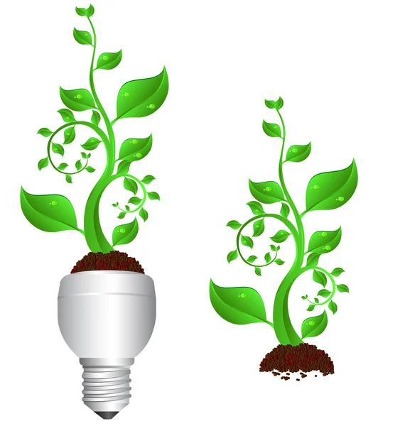 CFL en plant — Stockvector