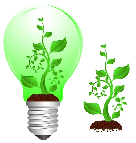 Bulb and plant2 — Stock Vector