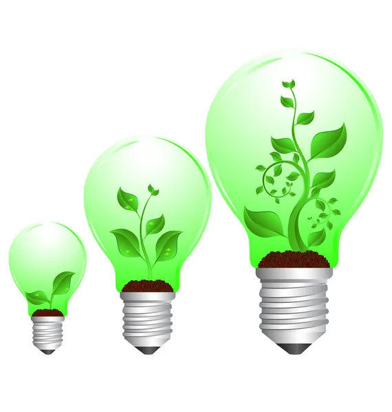 Groei van de lamp en plant — Stockvector