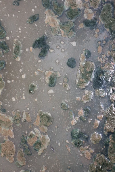 Гора Мусор, загрязнение — стоковое фото