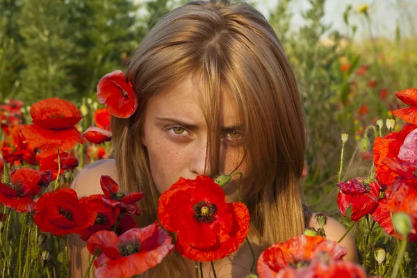 stock image Girl among poppies