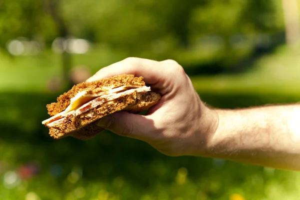 サンドイッチ手します。 — ストック写真