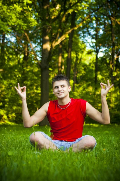 草の中に座っている若い男 ロイヤリティフリーのストック写真