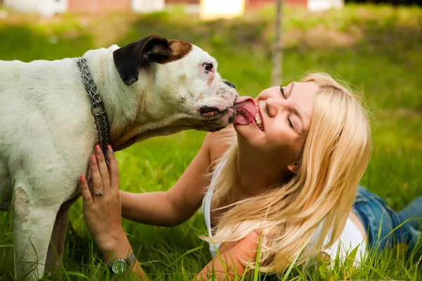 Дівчина з собакою на траві — стокове фото
